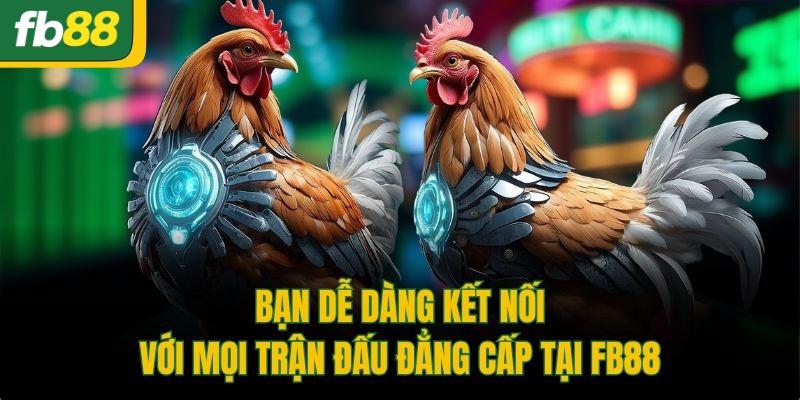 Bạn dễ dàng kết nối với mọi trận đấu đẳng cấp tại FB88