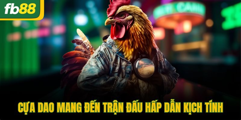 Cựa dao mang đến trận đấu hấp dẫn kịch tính