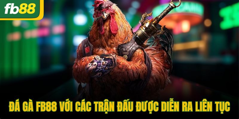 Đá gà FB88 với các trận đấu được diễn ra liên tục