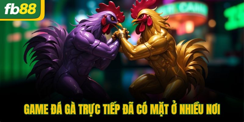 Game đá gà trực tiếp đã có mặt ở nhiều nơi