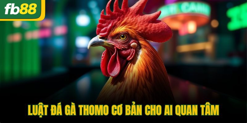 Luật đá gà Thomo cơ bản cho ai quan tâm