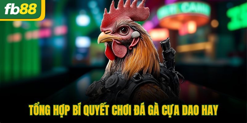 Tổng hợp bí quyết chơi đá gà cựa dao hay
